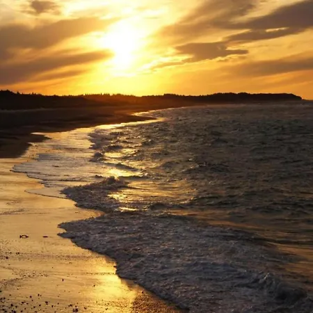 Quaint In Near Sea * Zierow
